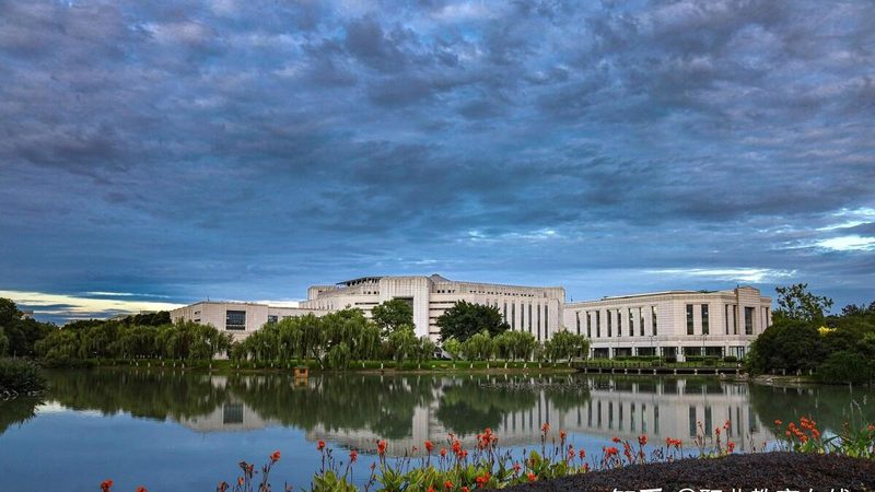 揭秘深圳电子科技公司排行榜：实力与趋势并存